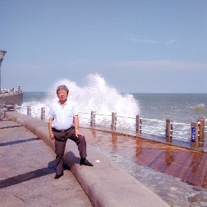 胖头鱼 icon