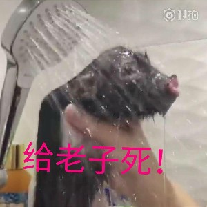 猪跑的更快！