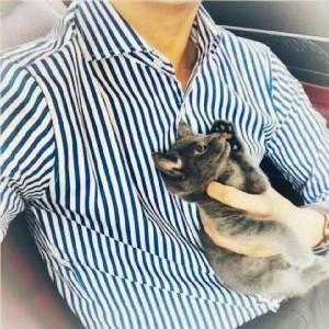 爱健身的秦轩