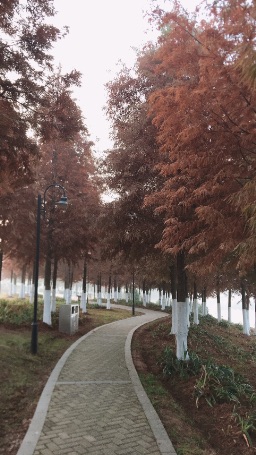 运动天使 post 1