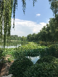 健走☕️偶遇☕️咖啡屋 logo