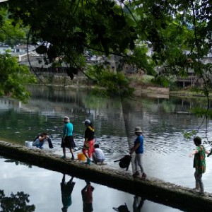 雾里青（浅唱）